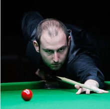 观众投票的 观众投票的