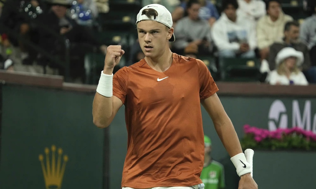 以在转会市 以在转会市