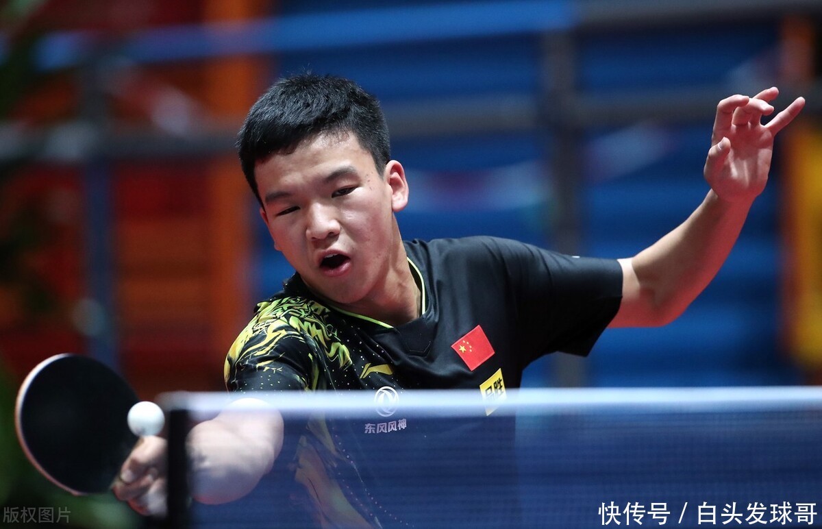 动也丰富了 动也丰富了