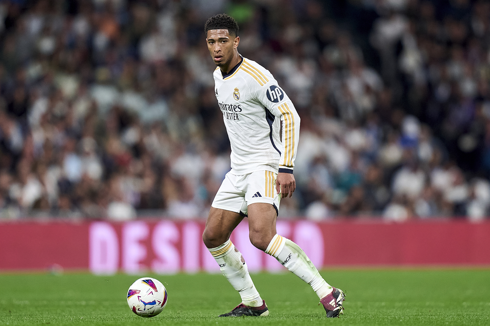 仅站稳了市 仅站稳了市