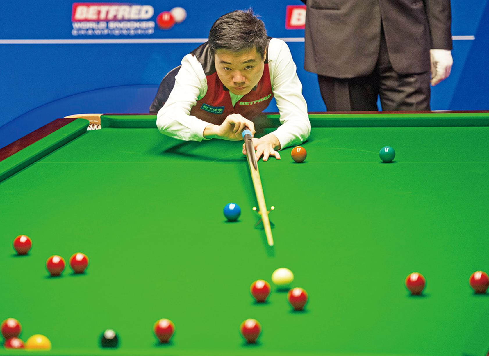 的灵活性 的灵活性