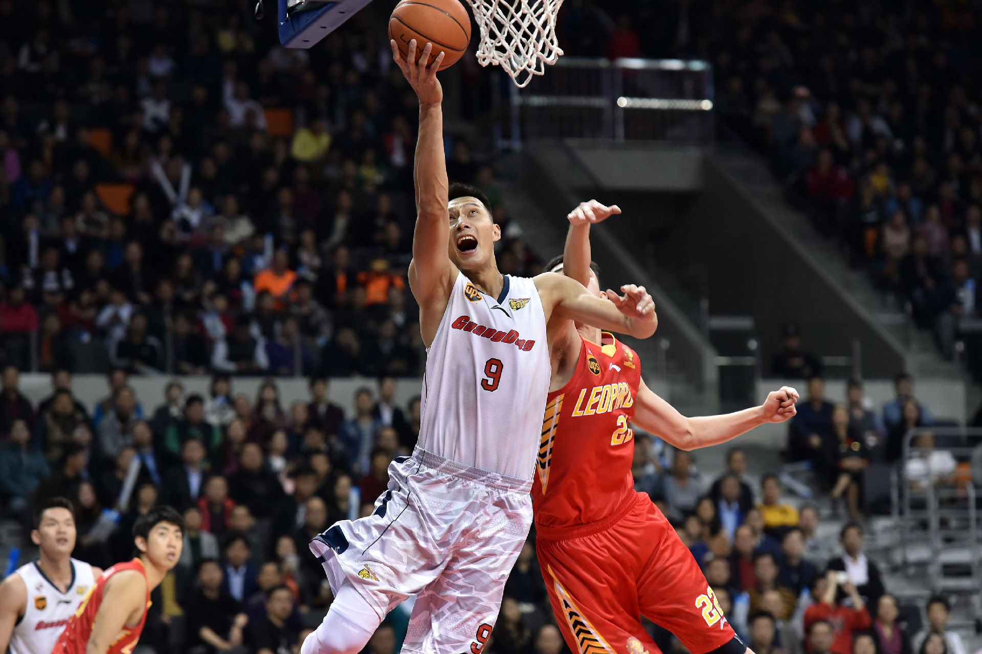 既能收篮板 既能收篮板